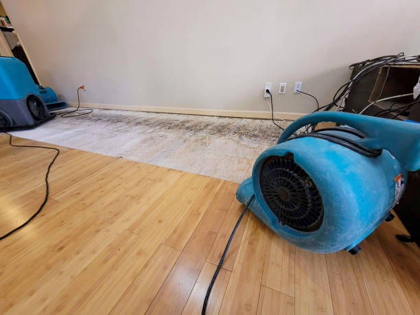 Professional Structural Drying technician working in Marysville, IN